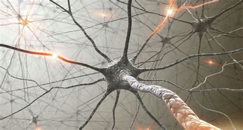 B­e­y­i­n­ ­v­e­ ­b­i­l­g­i­s­a­y­a­r­ ­a­r­a­y­ü­z­ü­ ­k­a­b­l­o­l­a­r­d­a­n­ ­t­a­m­a­m­e­n­ ­a­r­ı­n­d­ı­r­ı­l­ı­y­o­r­:­ ­M­a­t­r­i­x­ ­g­e­r­ç­e­k­ ­o­l­u­y­o­r­